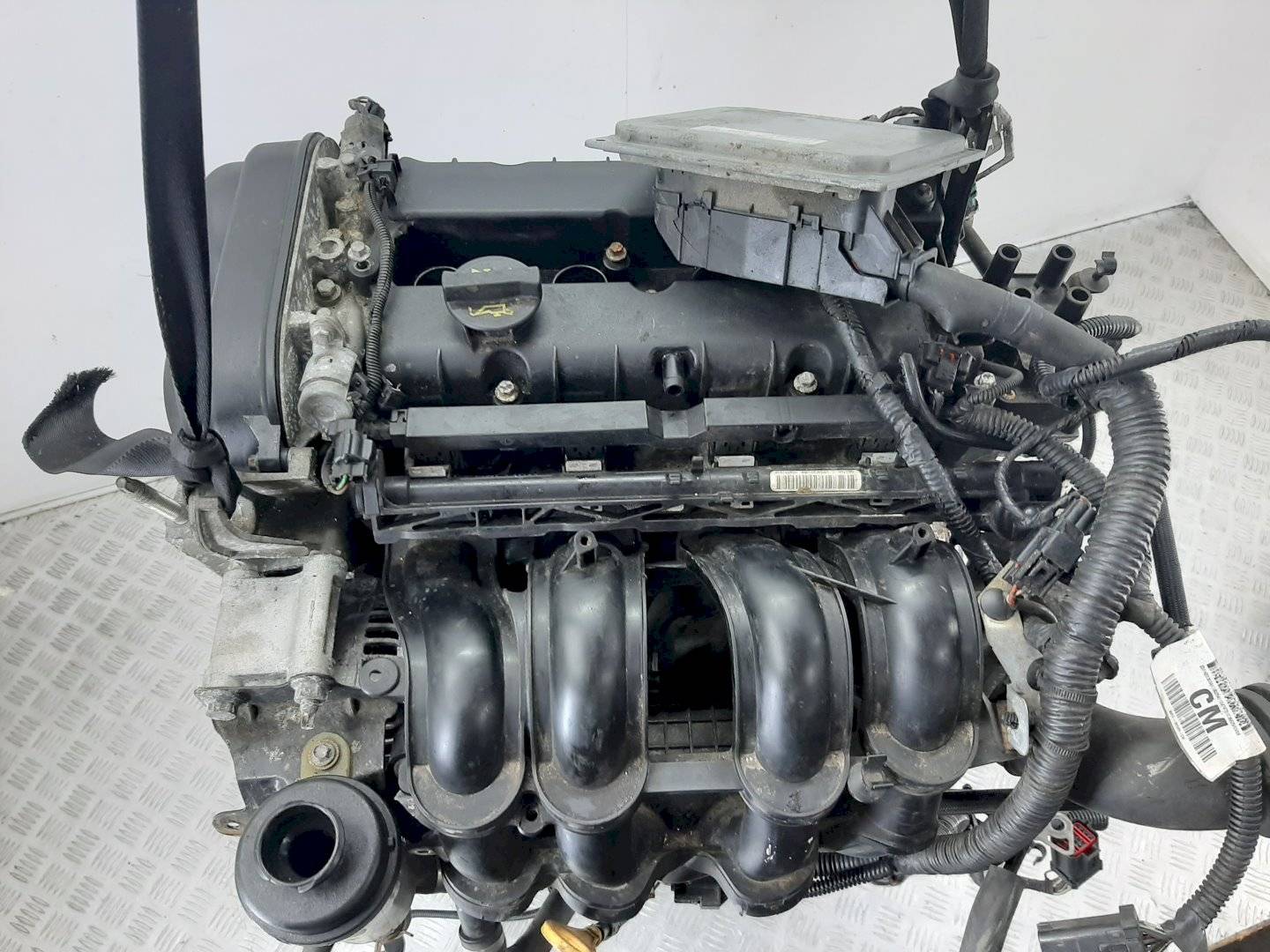 Двигатель Ford Focus 1.6л HXDB 2009