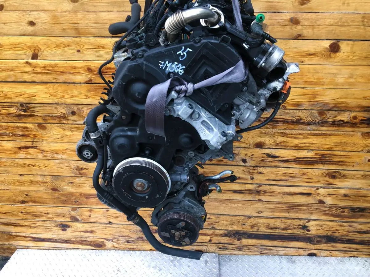 Двигатель Ford Focus 1.6л 2006