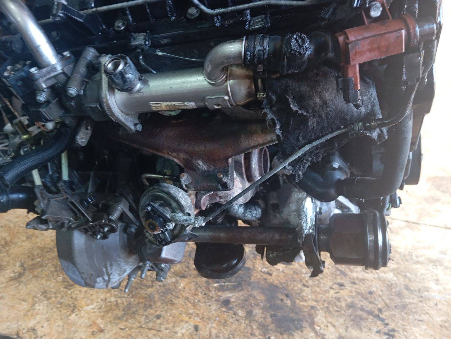 Двигатель Peugeot 407 2л 2006 — фото 3
