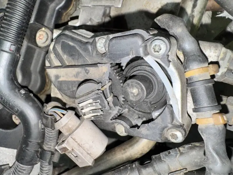 Двигатель Volkswagen Passat BVY1 B6 — фото 3